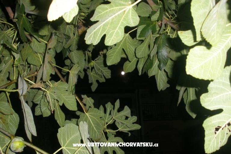 Apartmani  Smokva   – foto 4
