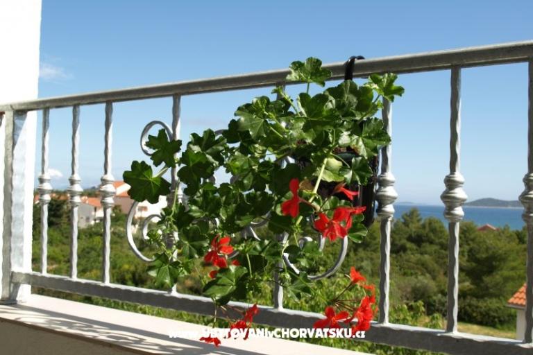 Apartmani Biluš – foto 10