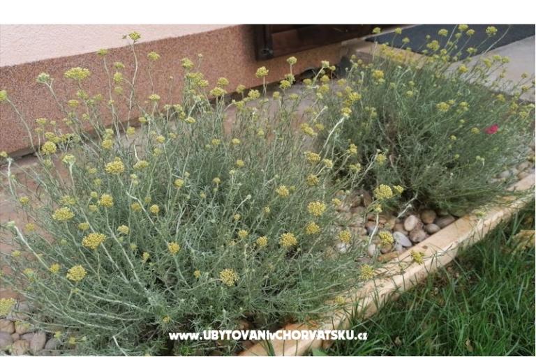 Apartmani NIKA – foto 18