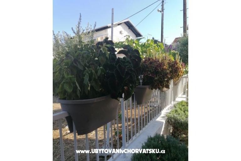 Apartmani NIKA – foto 8