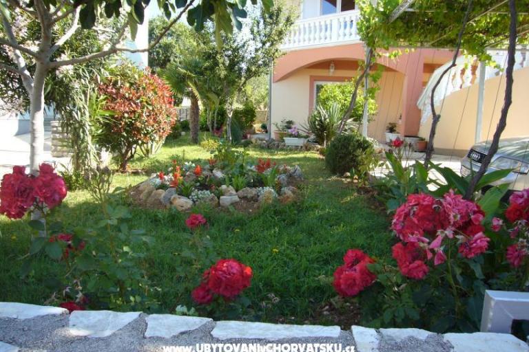 Apartmani Ćosić  – foto 3