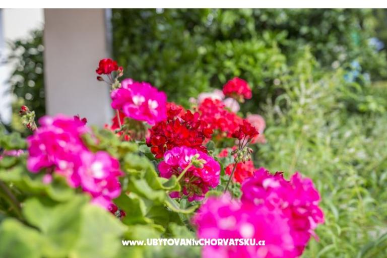 Apartmani Ines – foto 3