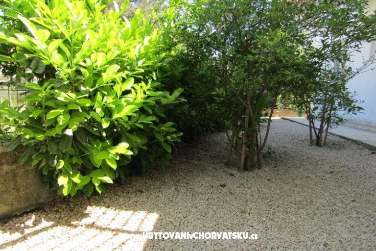 Apartmani Kokor – foto 11