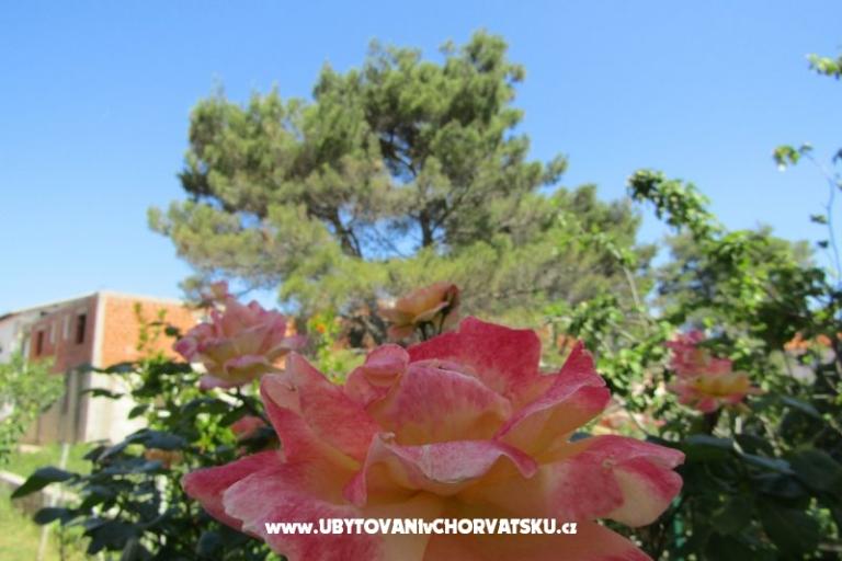Apartmani Kokor – foto 14