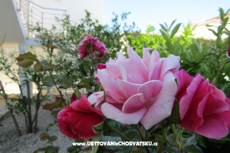 Apartmani Kokor – foto 4