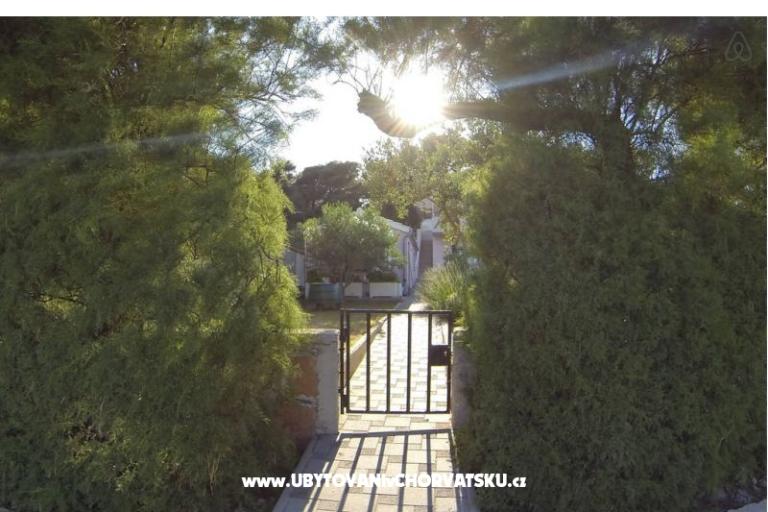 Apartmani latin – foto 2