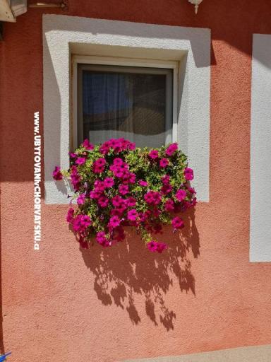 Apartmani Nana – foto 17