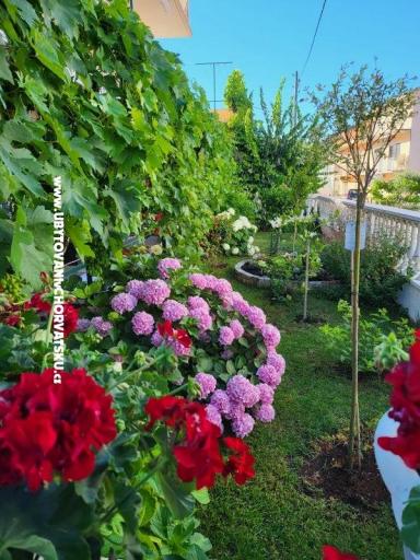 Apartmani Rino – foto 35