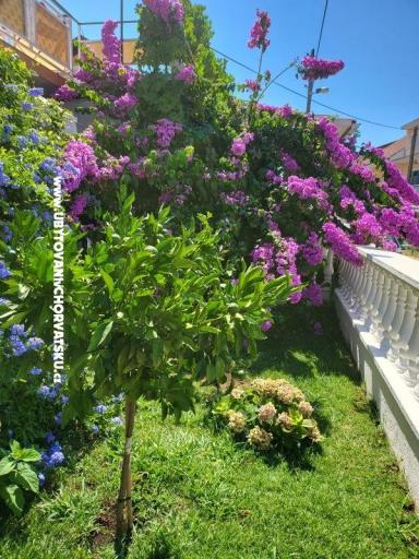 Apartmani Rino – foto 36