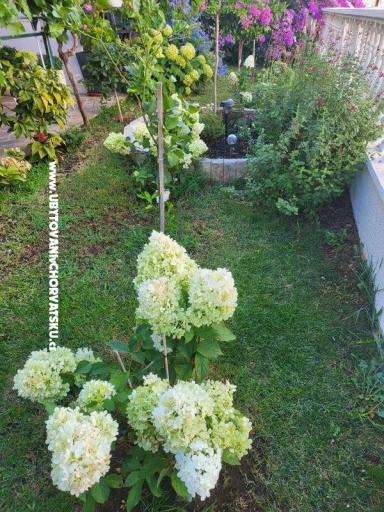 Apartmani Rino – foto 37
