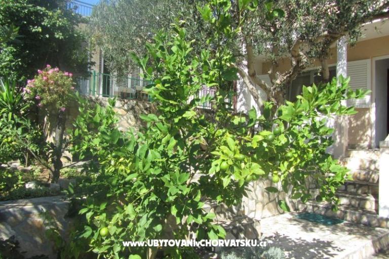 Apartmani Sonja – foto 12