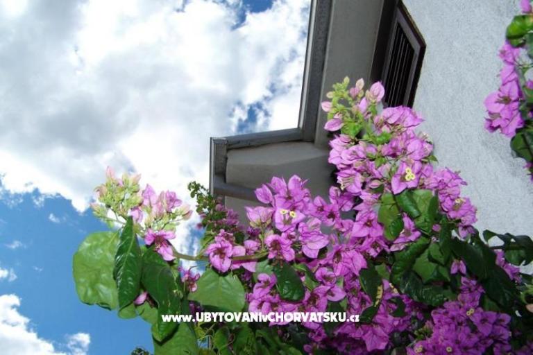 Apartmani Stanko Vodice – foto 2