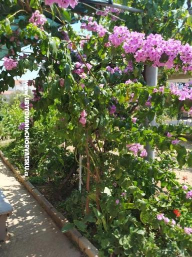 Apartmani Vinka – foto 20