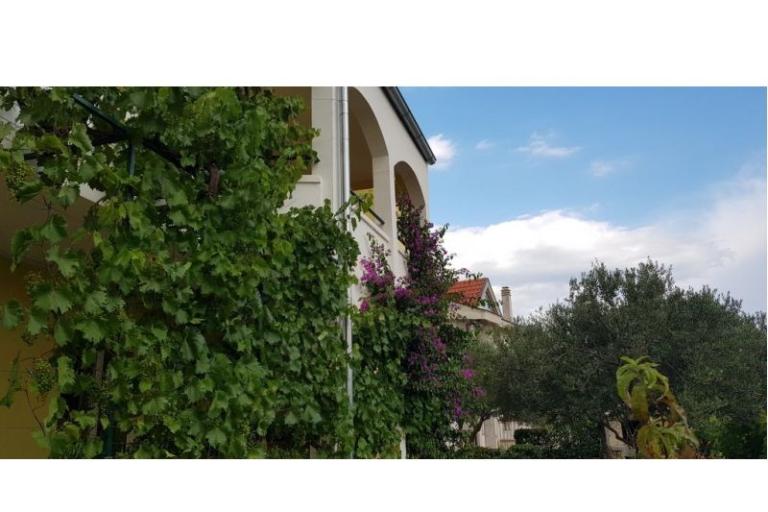Apartmani Vranjković – foto 5