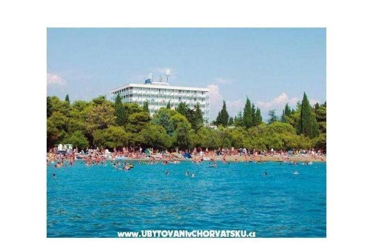 Apartmani Vranjković – foto 7