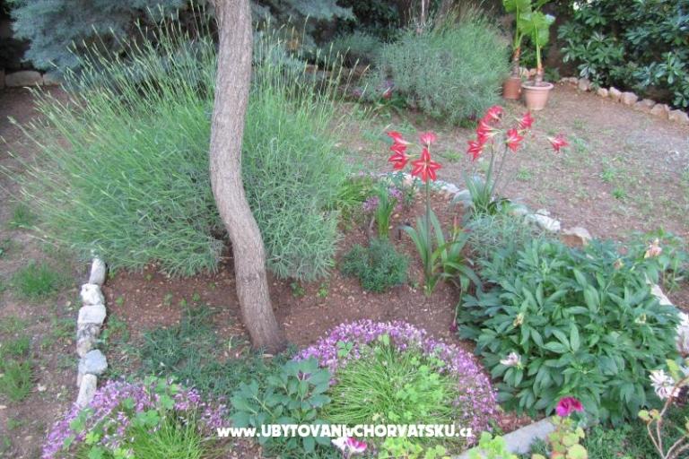 Apartmani Zvonimir – foto 11