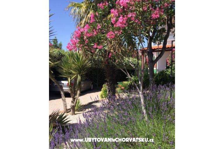 Apartmani Milka – foto 21