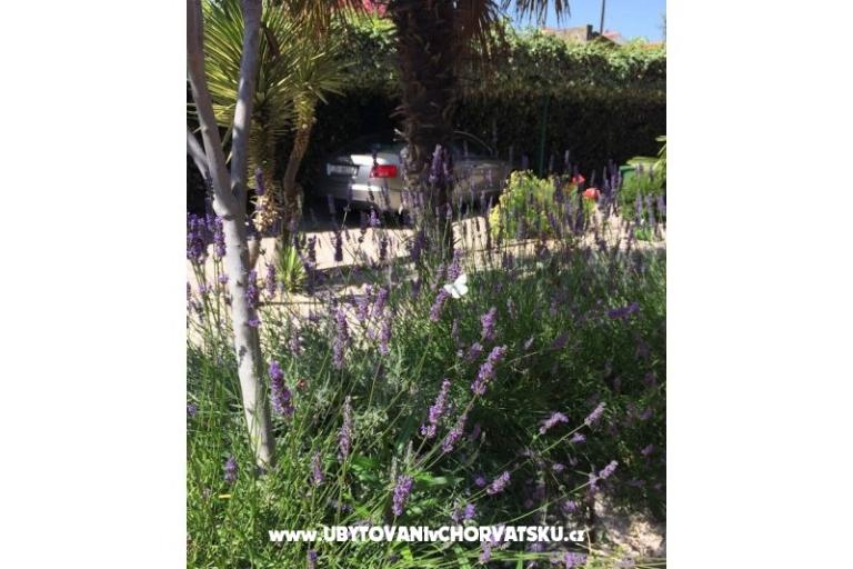Apartmani Milka – foto 22