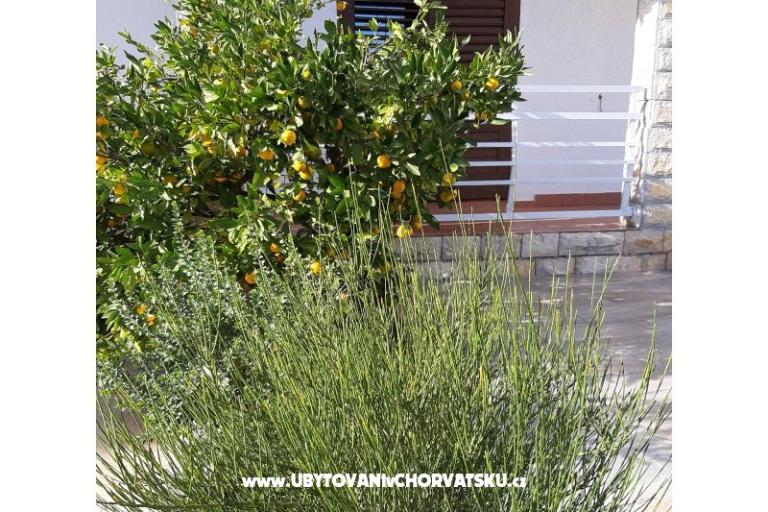Apartmani Vitali – foto 10