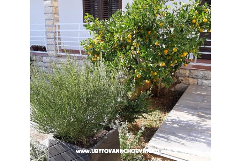 Apartmani Vitali – foto 11