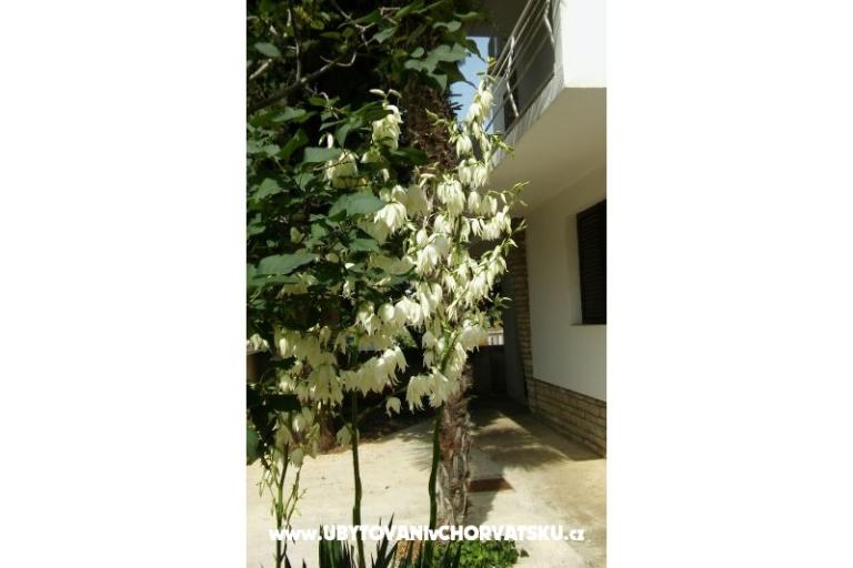 Apartmani Vitali – foto 6