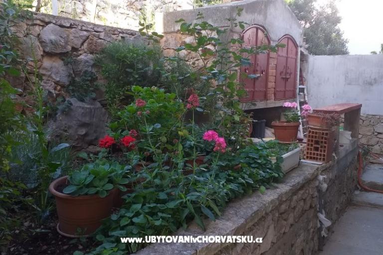 Apartman Ivan (15m from  beach) – foto 8