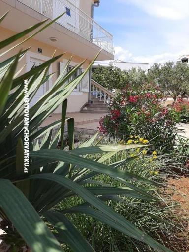 Apartmani Duzelovi dvori  – foto 12