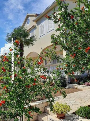 Apartmani Duzelovi dvori  – foto 16