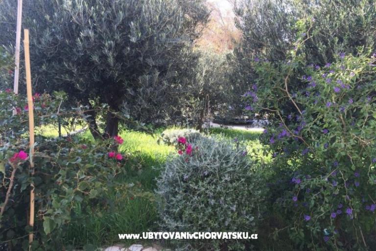 Apartmani Villa Tribunj – foto 3