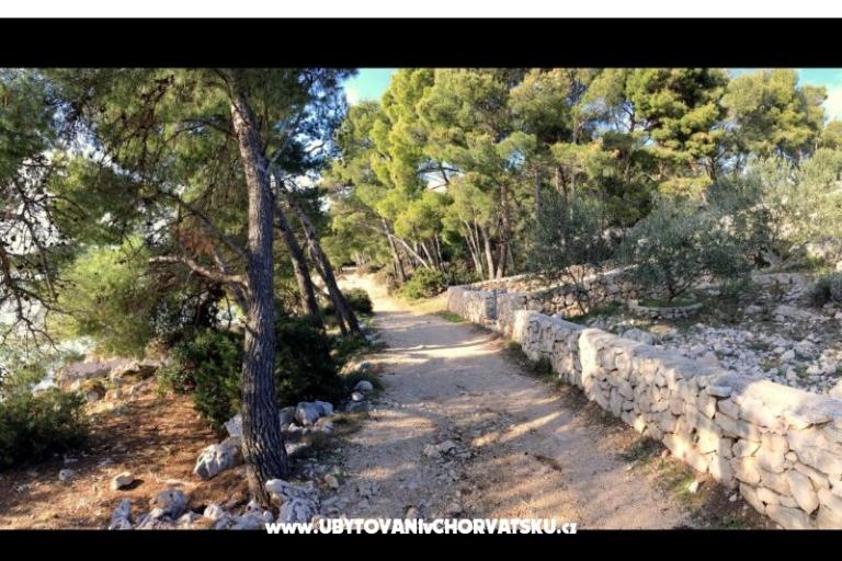 Apartmani Neptun and Jupiter – foto 5