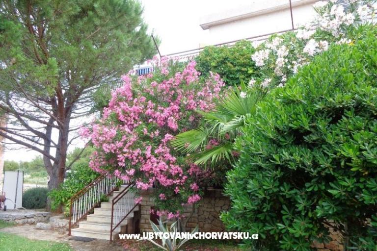 Apartmani  IVAN   – foto 17