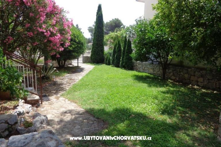 Apartmani  IVAN   – foto 8