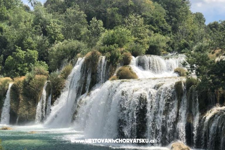 Kiwi Kuća – foto 10