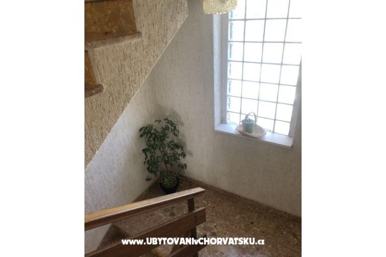 Kiwi Kuća – foto 13