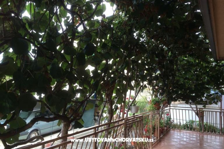 Kiwi Kuća – foto 5