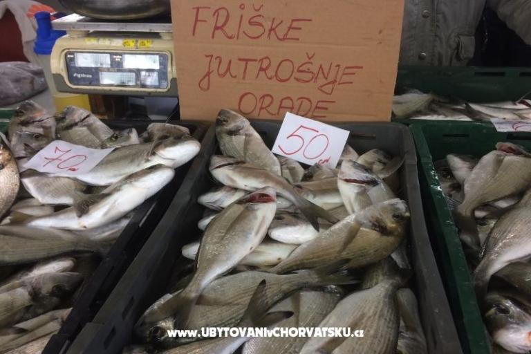 Kiwi Kuća – foto 8