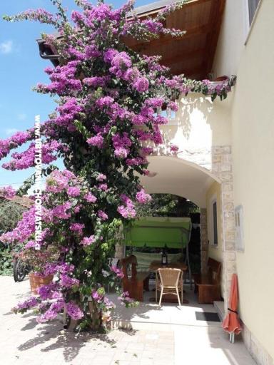 Apartmani  Vesna  – foto 20