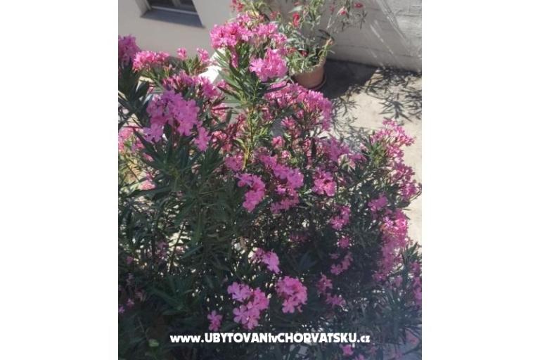 Vila Sara – foto 13