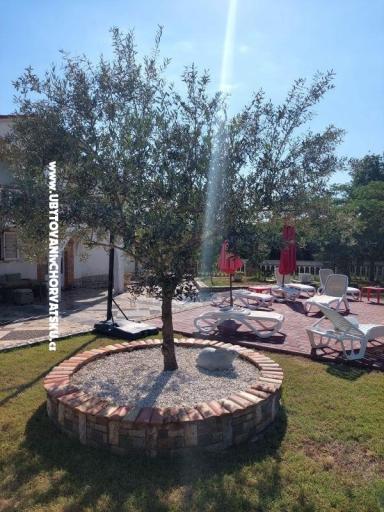 Apartmani Chipo – foto 3
