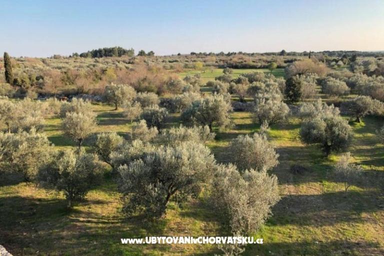 Casadigioia Apartmani – foto 6