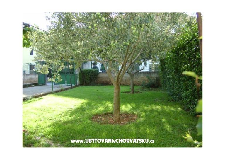 Apartman  Dalmacija – foto 17