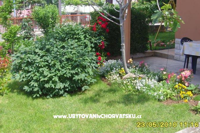 Apartman Amico – foto 6