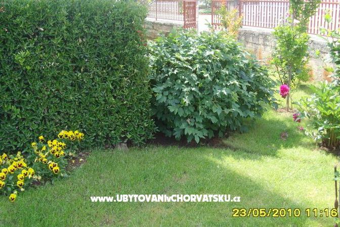 Apartman Amico – foto 8