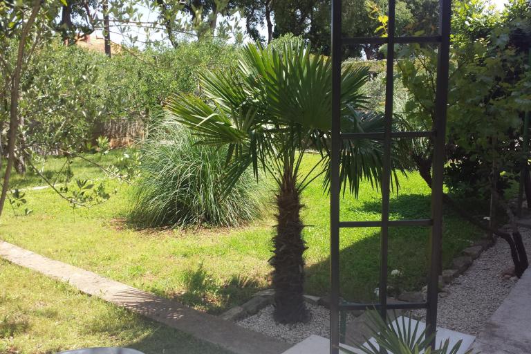 Apartman Korina – foto 2