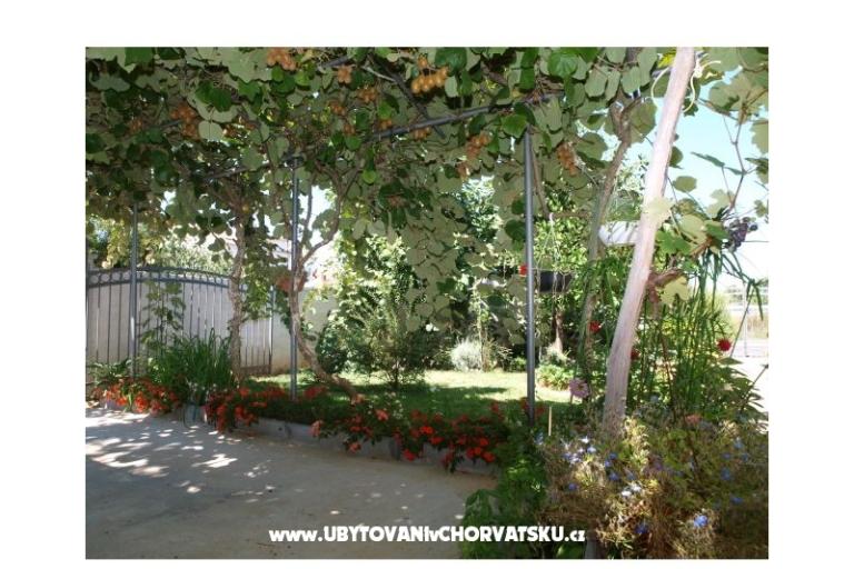 Apartmani Andredor – foto 17