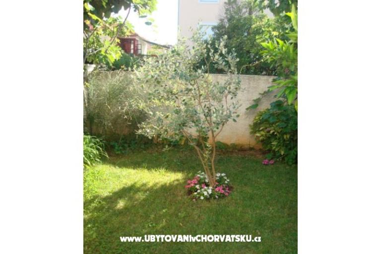 Apartmani Andredor – foto 8