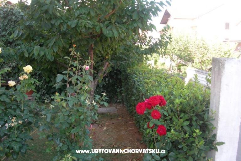 Apartmani Ravkin – foto 9