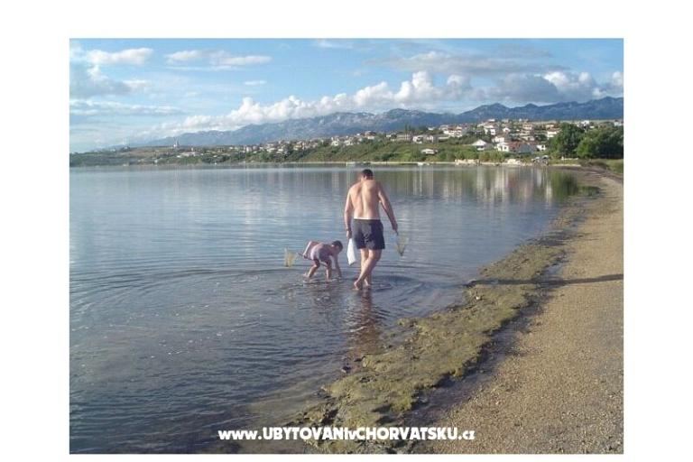 Apartmani Mlađo  – foto 12