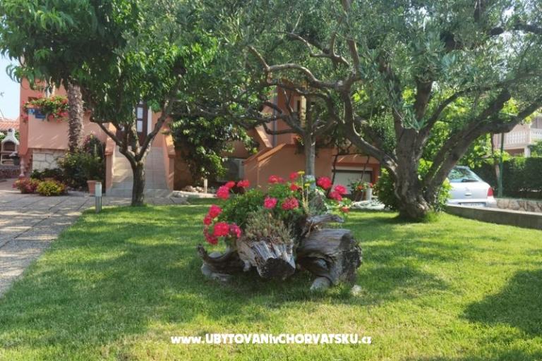 Apartmani Riva – foto 3