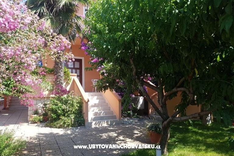 Apartmani Riva – foto 5